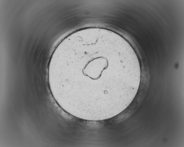 X0000116770807201001071215