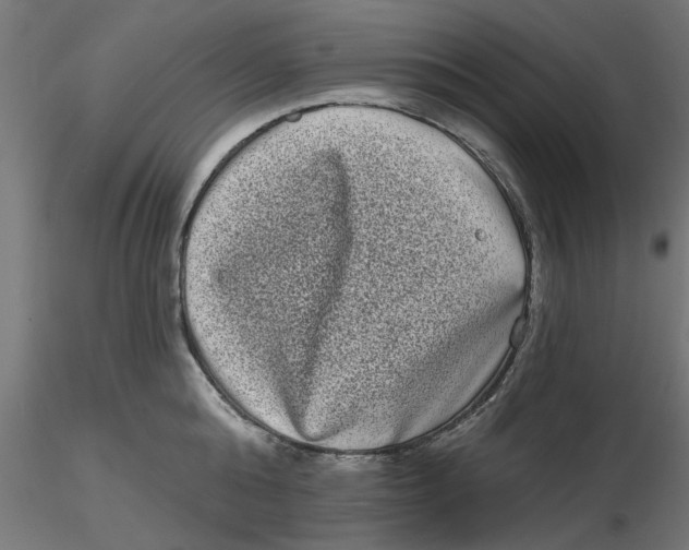 X0000116770808201001071215