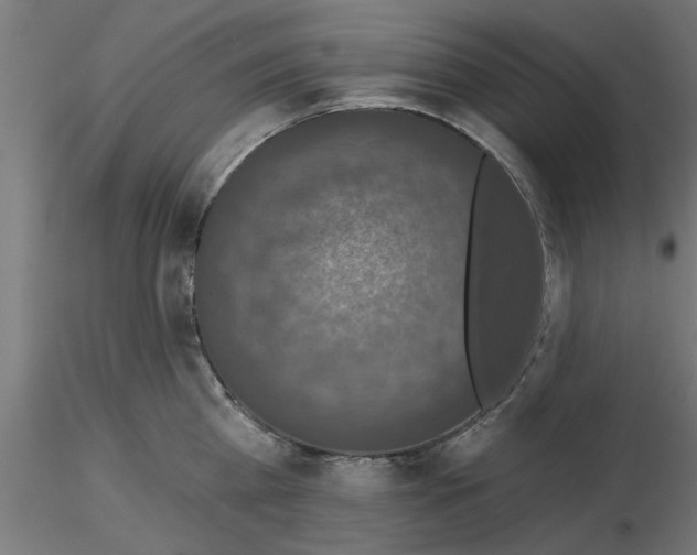 X0000116770809201001071215