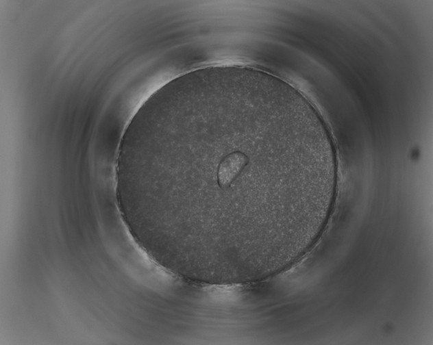 X0000116770810201001071215