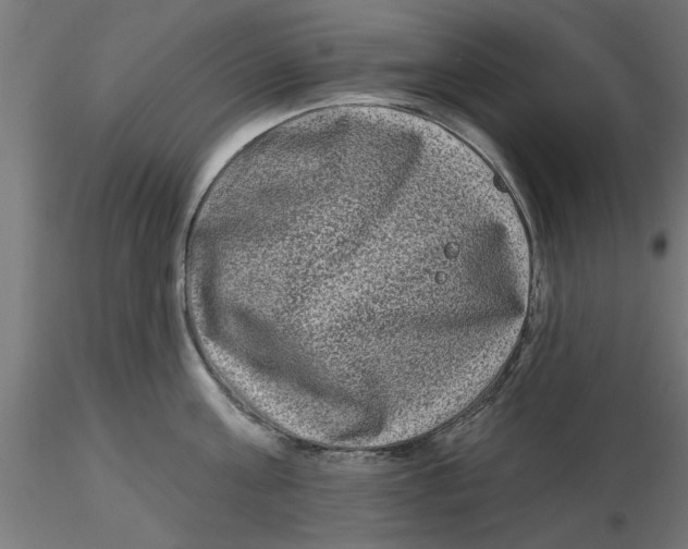 X0000116770811201001071215