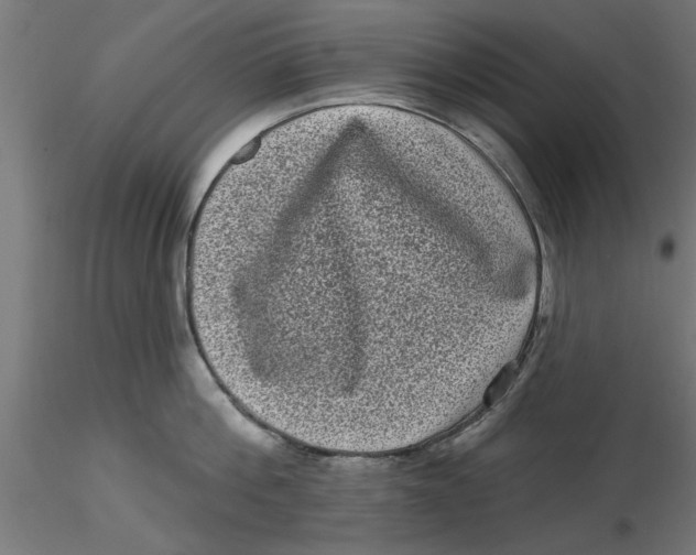 X0000116770812201001071215