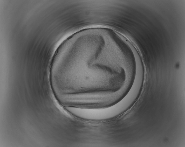 X0000116770813201001071215