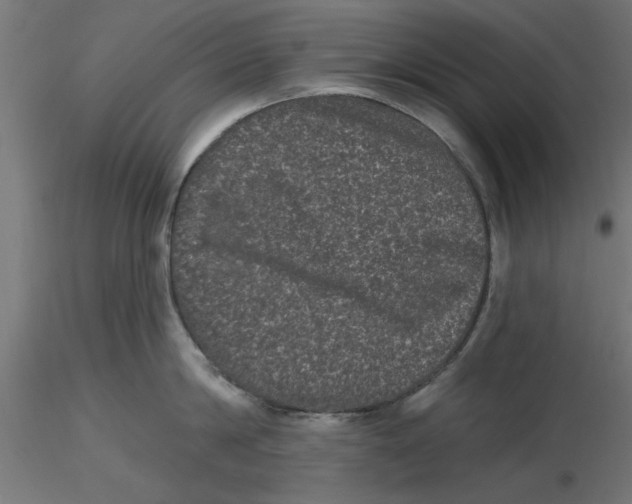 X0000116770814201001071215