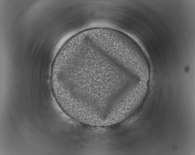 X0000116770815201001071215