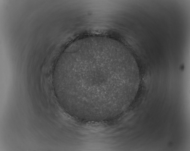 X0000116770817201001071214