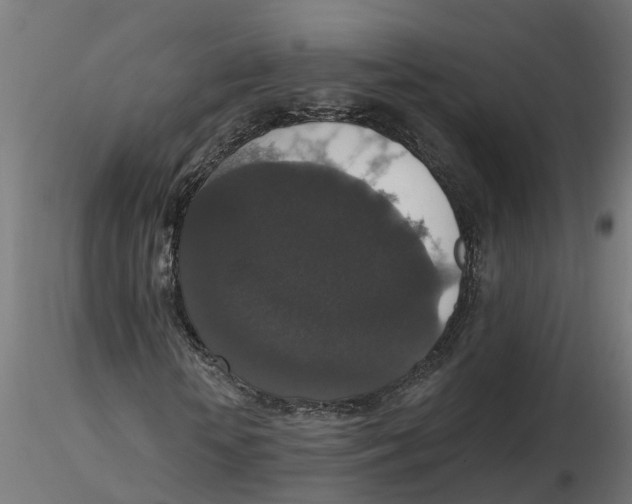 X0000116770818201001071214