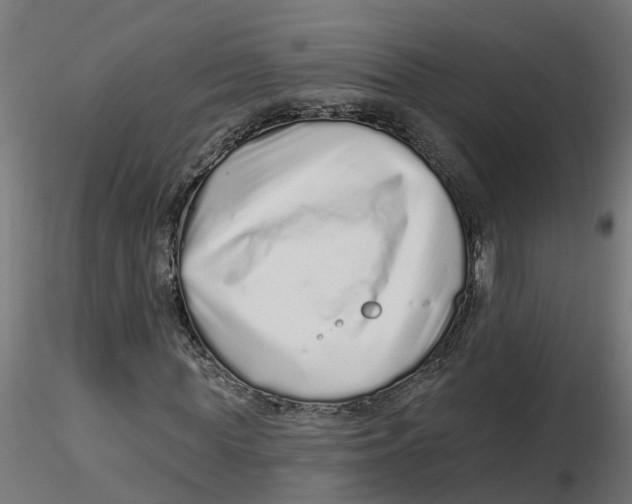 X0000116770819201001071214