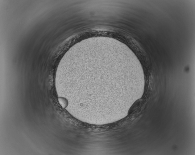 X0000116770821201001071214