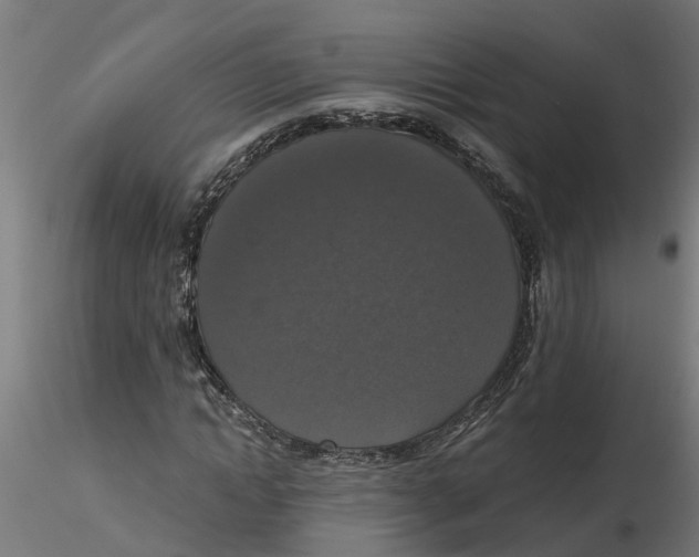 X0000116770822201001071214