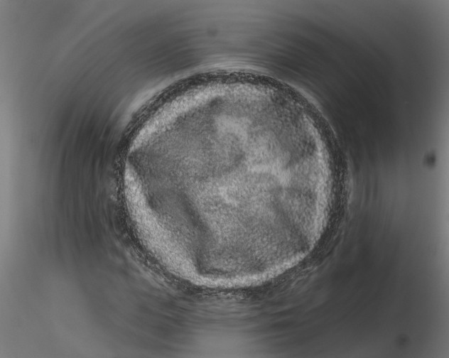 X0000116770823201001071214