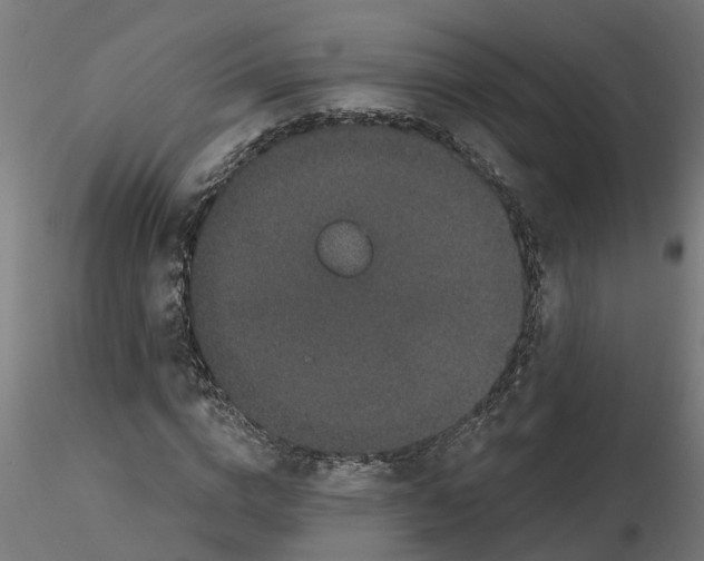 X0000116770824201001071214