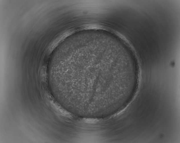 X0000116770825201001071214