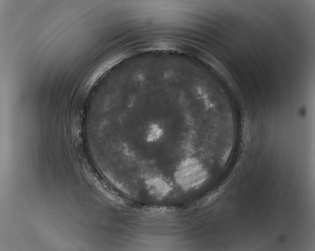 X0000116770826201001071214