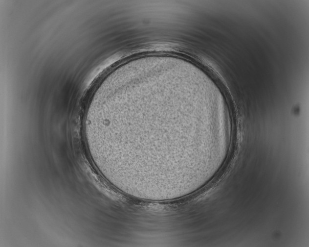 X0000116770827201001071214