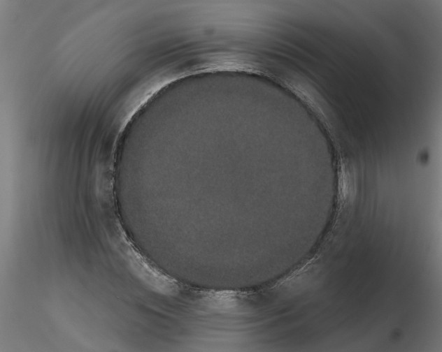 X0000116770828201001071214