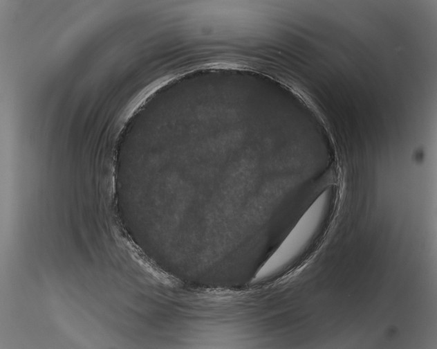 X0000116770829201001071214