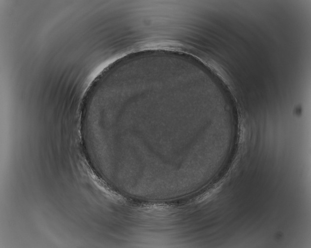 X0000116770830201001071214