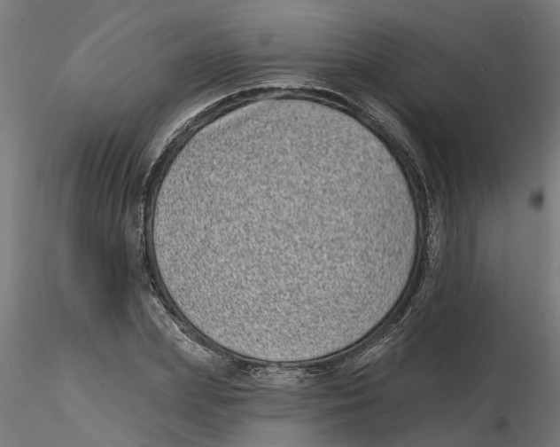 X0000116770831201001071214