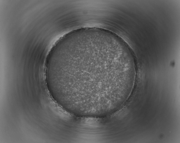 X0000116770832201001071214