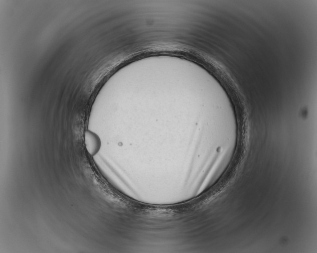 X0000116770833201001071214