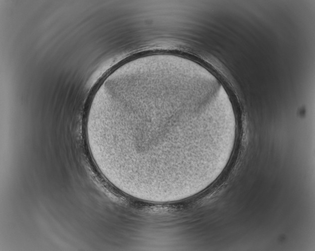 X0000116770834201001071214