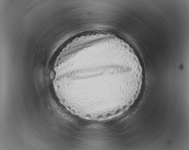 X0000116770835201001071214