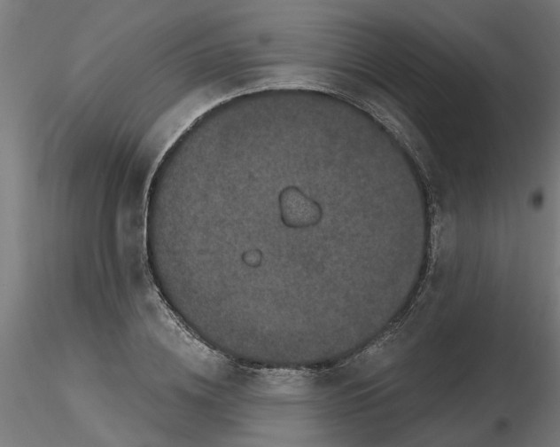 X0000116770836201001071214