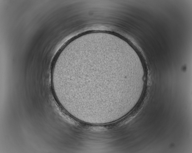 X0000116770837201001071214