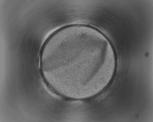 X0000116770838201001071214