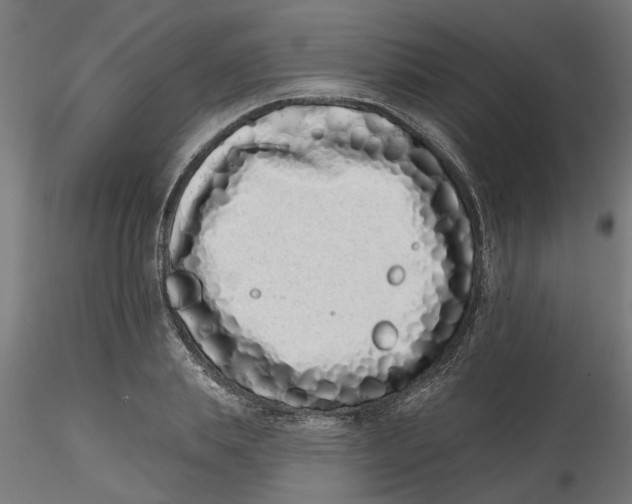 X0000116770839201001071214