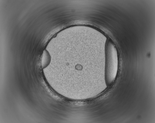 X0000116770841201001071214