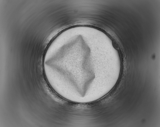 X0000116770842201001071214