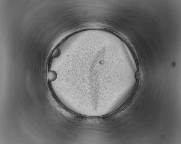 X0000116770843201001071214