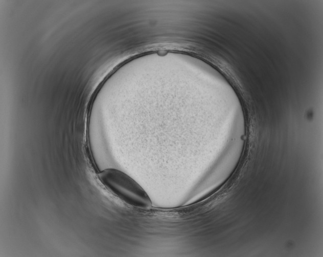 X0000116770844201001071214