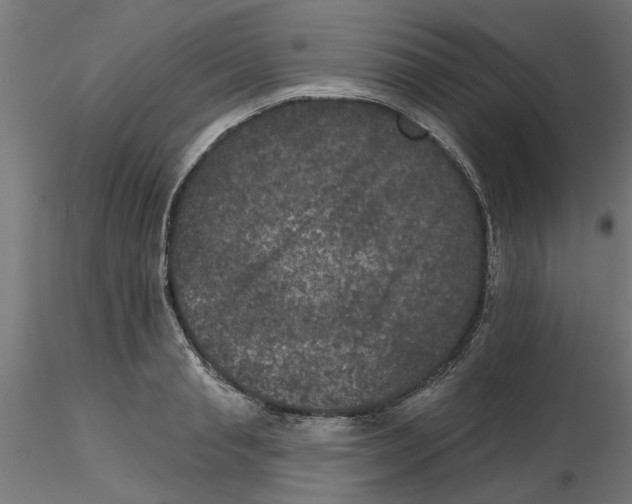 X0000116770845201001071214