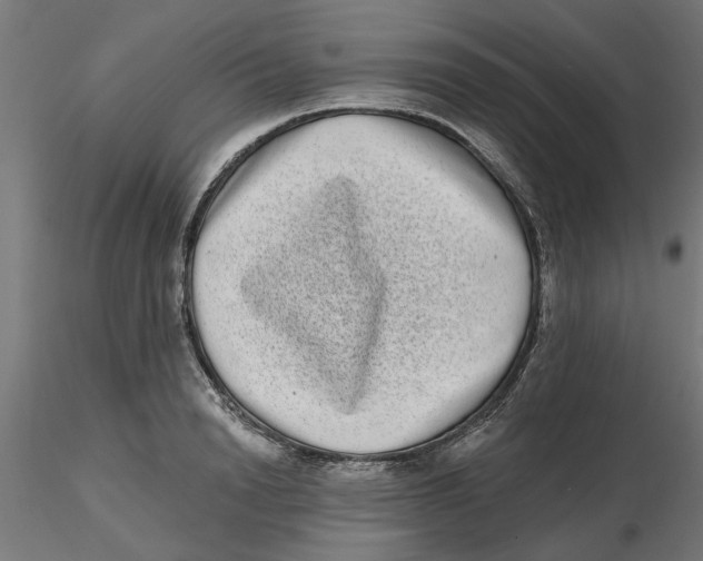 X0000116770846201001071214