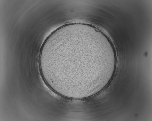 X0000116770847201001071214