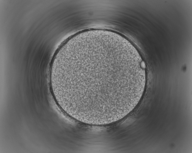 X0000116770848201001071214