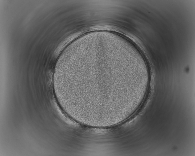 X0000116770849201001071214