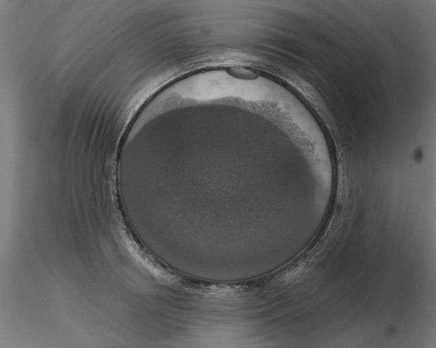 X0000116770850201001071214