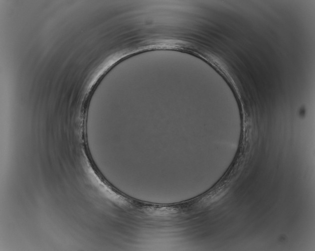 X0000116770851201001071214