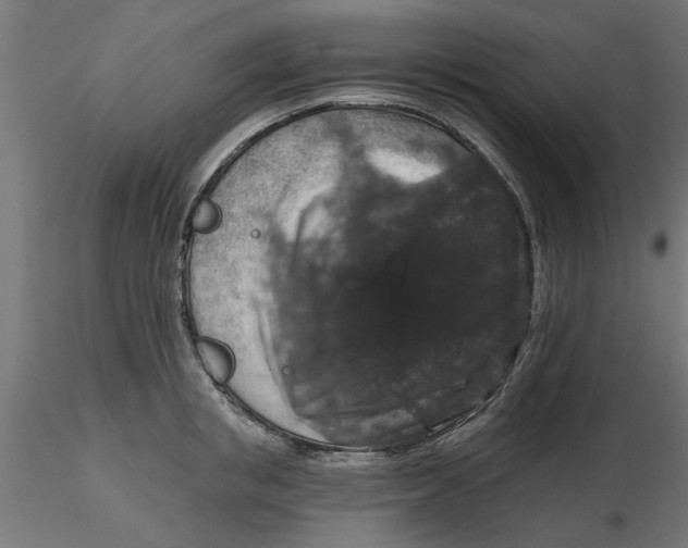 X0000116770853201001071214