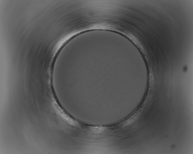 X0000116770854201001071215