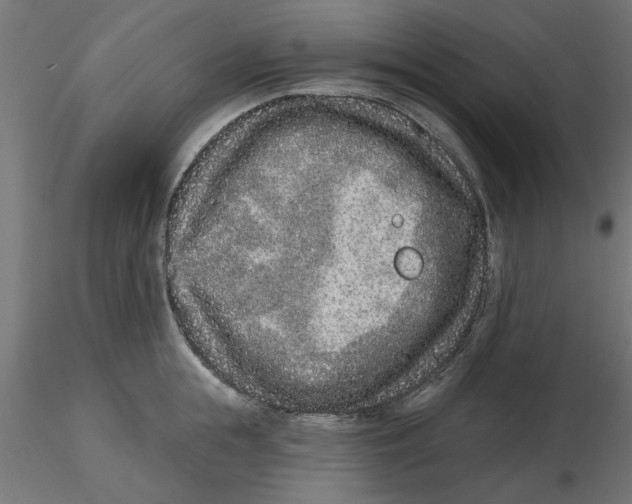 X0000116770855201001071215