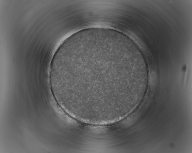 X0000116770856201001071215