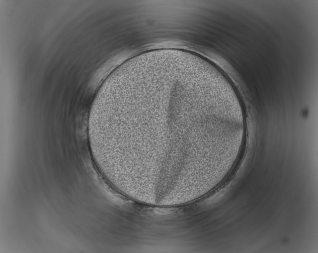 X0000116770857201001071215