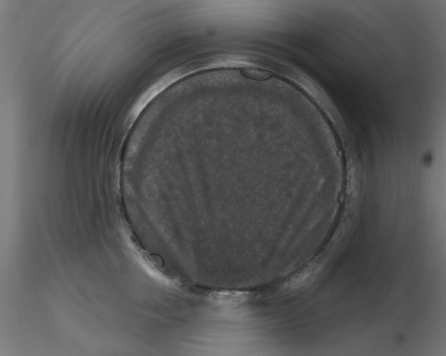 X0000116770858201001071215