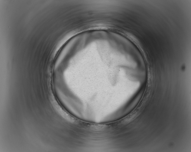 X0000116770859201001071215