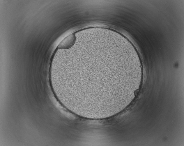 X0000116770861201001071215